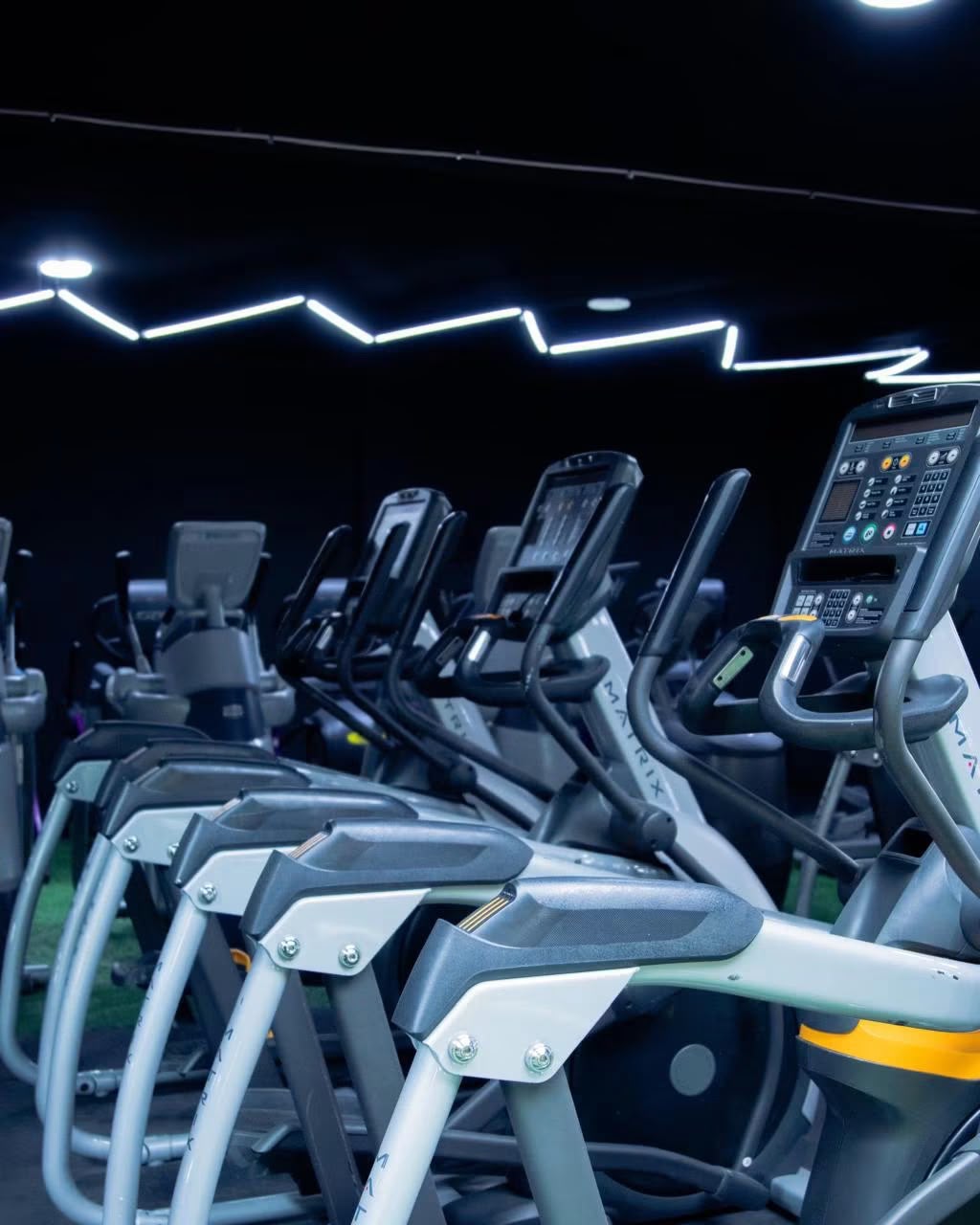 Zona de cardio