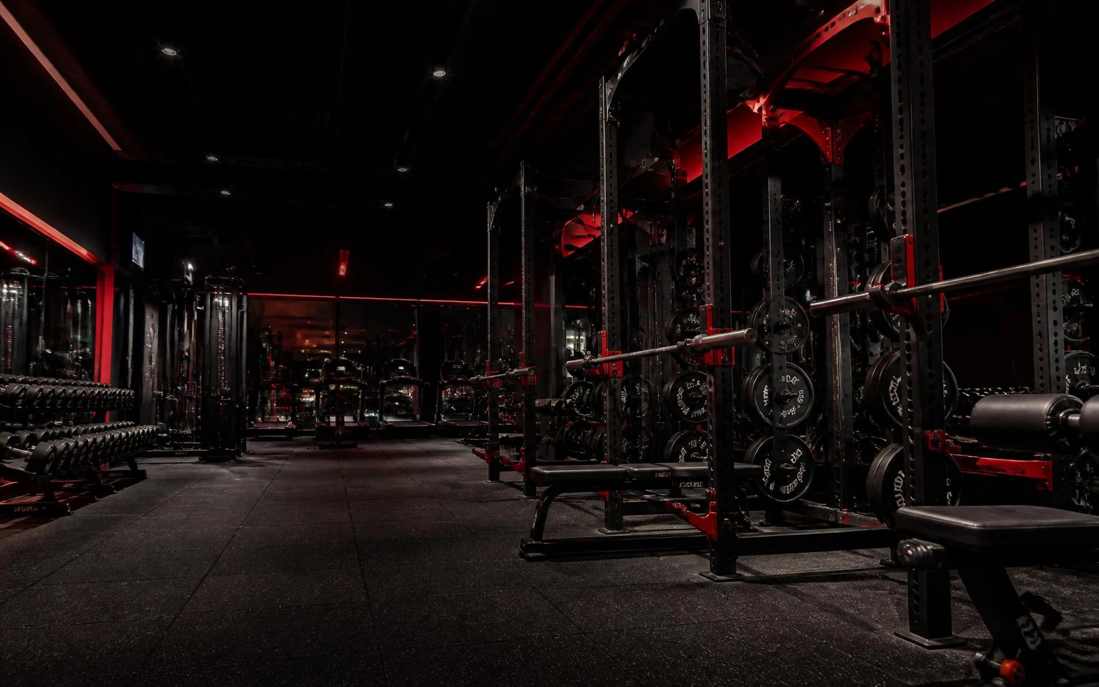 Gimnasio profesional MUCHO LOCO